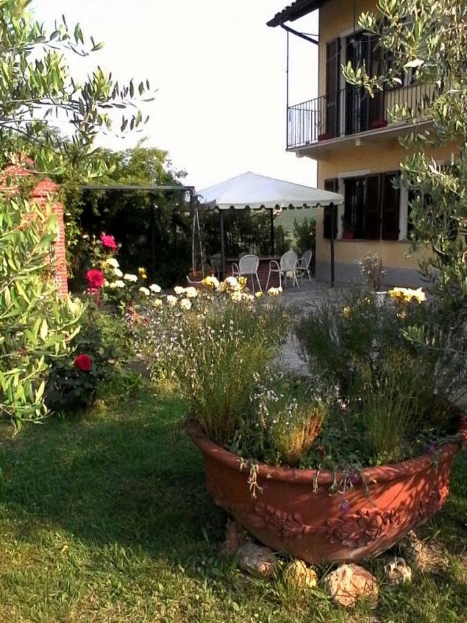 La Casa Dei Masue' * Alba (Piedmont)